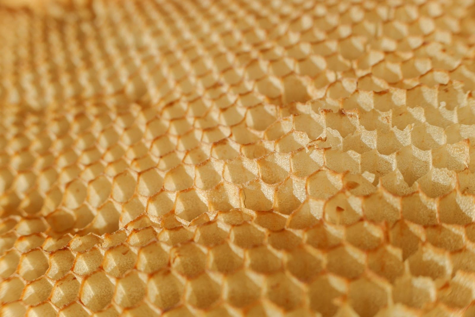 Blocks of natural beeswax