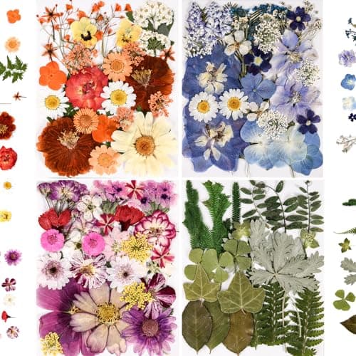 Dried Pressed Flowers with Tweezers, 110+ Pieces product photo